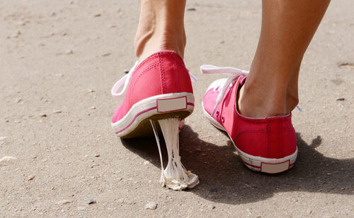 shutterstock_207965554