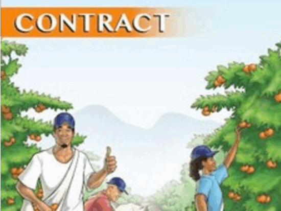 comiccontractfeature