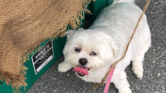 featurefarmersmarket