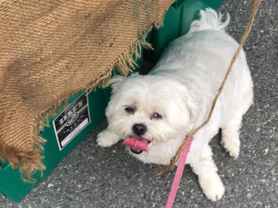 featurefarmersmarket