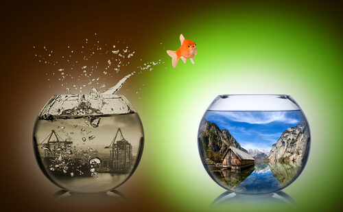 shutterstock_246062308