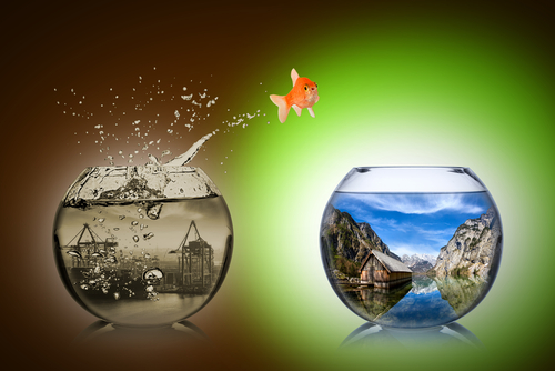 shutterstock_246062308