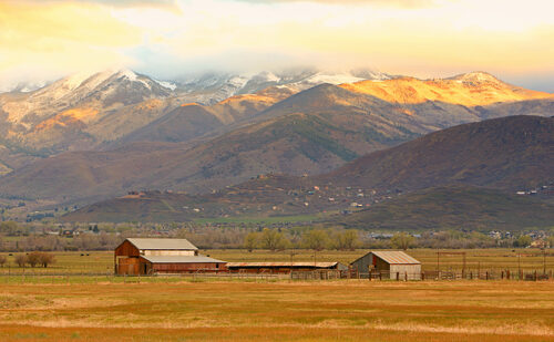 shutterstock_273190943