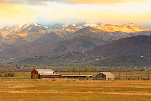 shutterstock_273190943