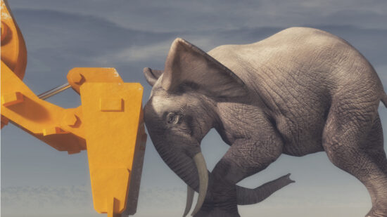 shutterstock_711207862