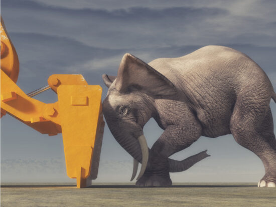 shutterstock_711207862