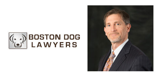 bostondoglawyerfeature