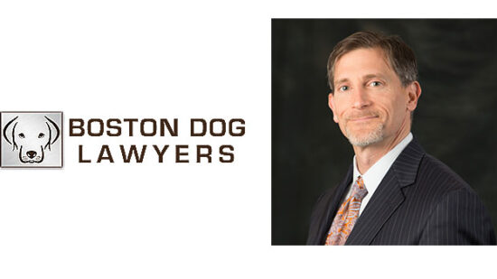 bostondoglawyerfeature