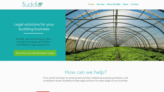 screenshot-www.buddlelaw.com-2019.04.17-11-57-28