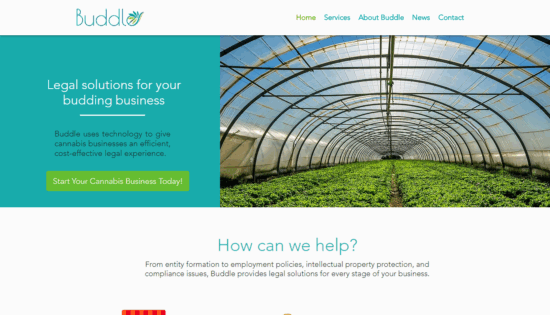 screenshot-www.buddlelaw.com-2019.04.17-11-57-28