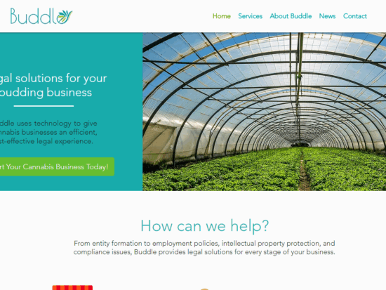 screenshot-www.buddlelaw.com-2019.04.17-11-57-28