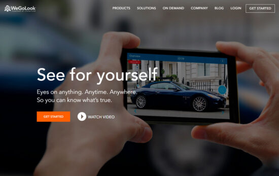 screenshot-wegolook.com-2019.06